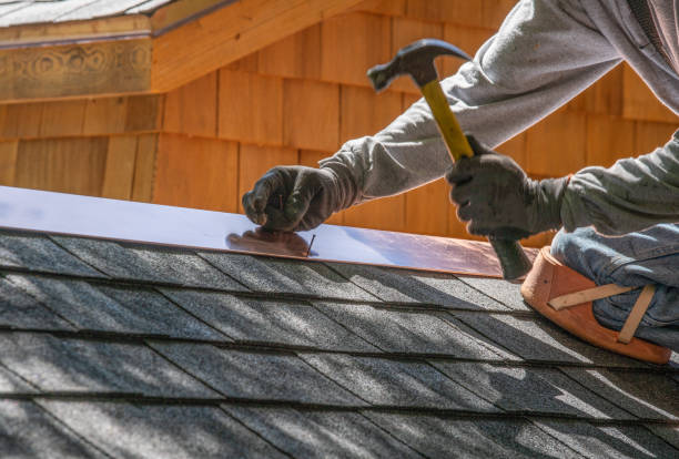 Best 4 Ply Roofing  in Wolfe City, TX