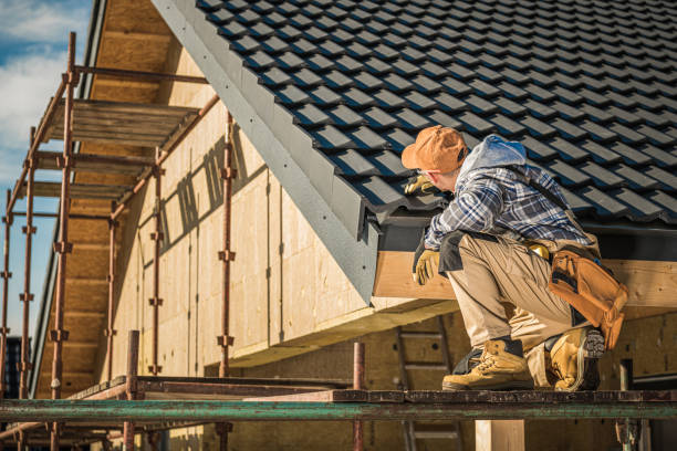 Best Commercial Roofing Services  in Wolfe City, TX
