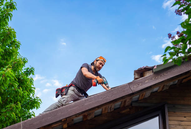 Best Asphalt Shingles Roofing  in Wolfe City, TX