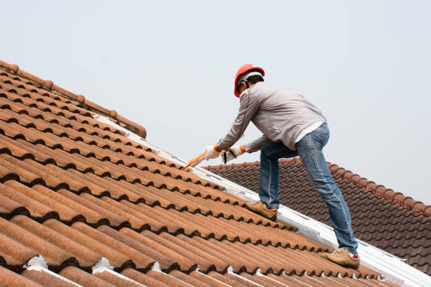 Wolfe City, TX Roofing services Company