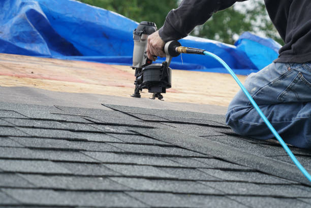 Best Green or Eco-Friendly Roofing Solutions  in Wolfe City, TX