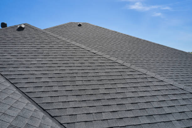 Best Chimney Flashing Repair  in Wolfe City, TX